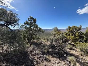 Ely NV Property