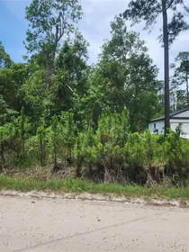 DELAND FL Property