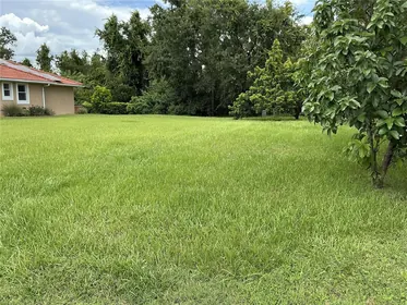 LAND O LAKES FL Property