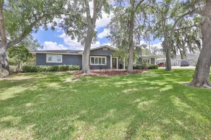 BRANDON FL Home