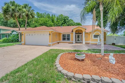 NEW PORT RICHEY FL Home