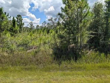 INDIAN LAKE ESTATES FL Property