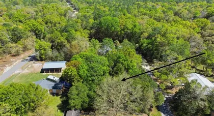 WILLISTON FL Property