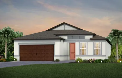 WESLEY CHAPEL FL Home