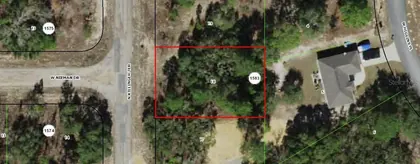 CITRUS SPRINGS FL Property