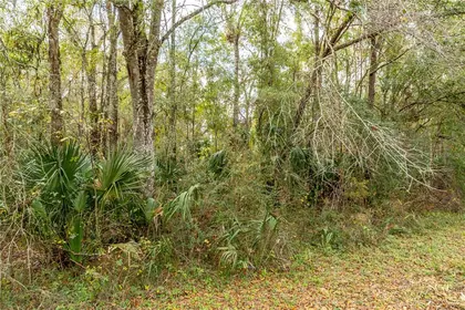 BROOKSVILLE FL Property