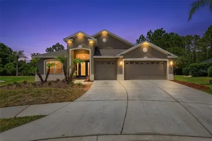 WESLEY CHAPEL FL Home