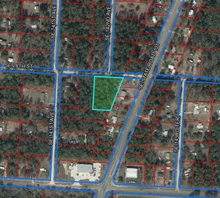MORRISTON FL Property