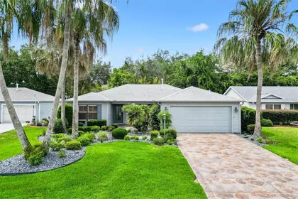 THE VILLAGES FL Home