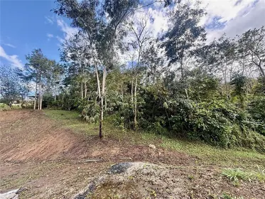 CAYEY PR Property
