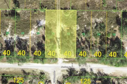 PUNTA GORDA FL Property