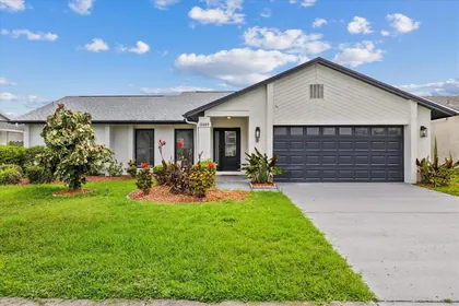 TAMPA FL Home