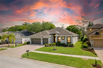 ODESSA FL Home