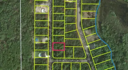 OCKLAWAHA FL Property