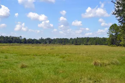 HIGH SPRINGS FL Property
