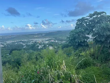 HUMACAO PR Property