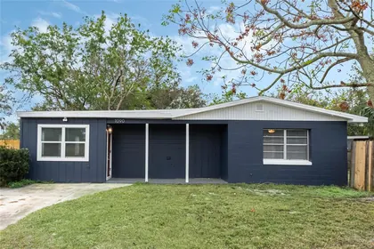 MOUNT DORA FL Home