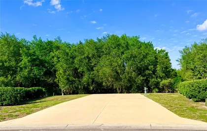 WEBSTER FL Property
