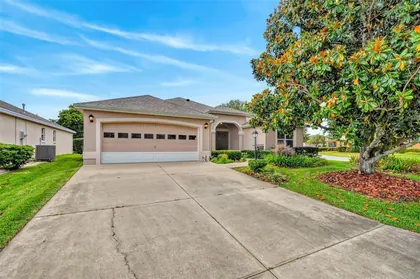 THE VILLAGES FL Home