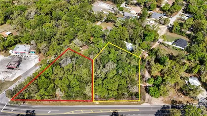MOUNT PLYMOUTH FL Property