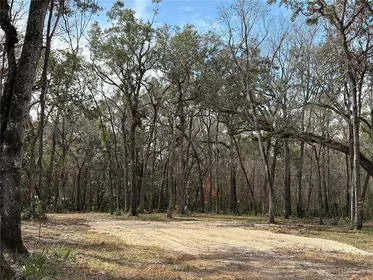 BROOKSVILLE FL Property