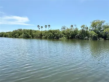 ST PETERSBURG FL Home