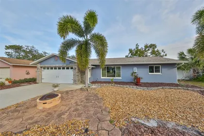 SEMINOLE FL Home