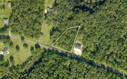 WILLISTON FL Property