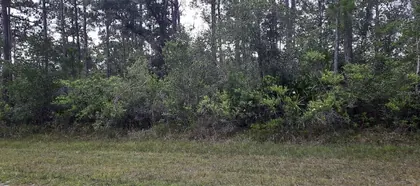 INDIAN LAKE ESTATES FL Property