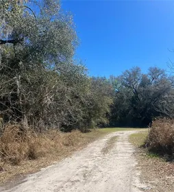 LEESBURG FL Property