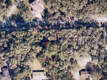 OCKLAWAHA FL Property