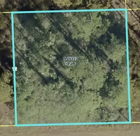LEHIGH ACRES FL Property