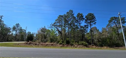 WEEKI WACHEE FL Property