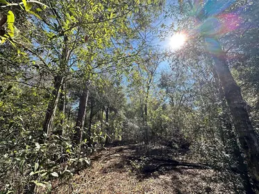 BRONSON FL Property