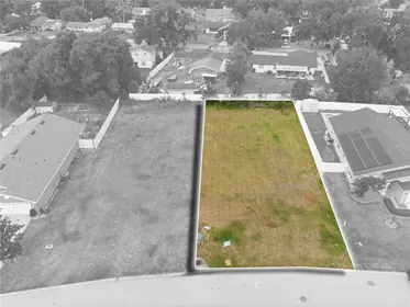 PLANT CITY FL Property