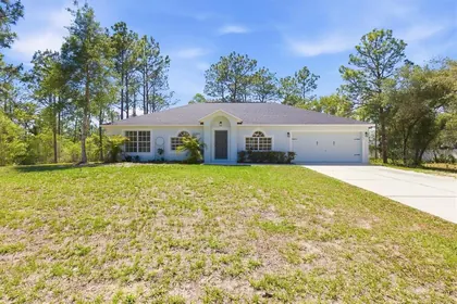 WEEKI WACHEE FL Home