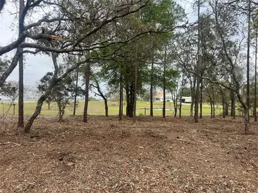 DUNNELLON FL Property