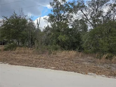 MORRISTON FL Property
