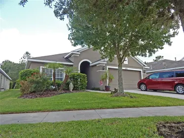 LITHIA FL Home