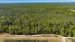 DUNNELLON FL Property