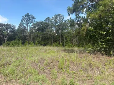 OCALA FL Property