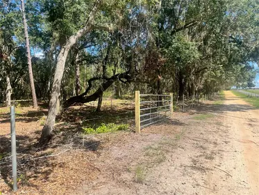 GROVELAND FL Property