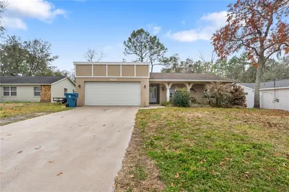 SPRING HILL FL Home