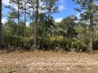 INDIAN LAKE ESTATES FL Property