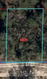 WILLISTON FL Property