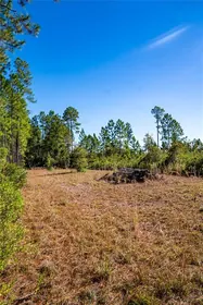 INTERLACHEN FL Property