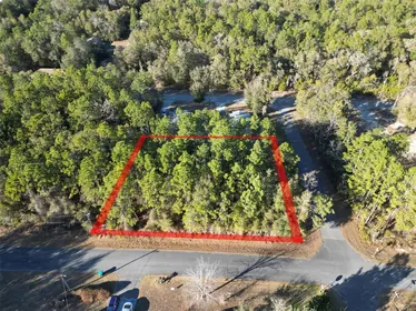 INVERNESS FL Property