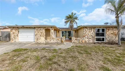 HOLIDAY FL Home