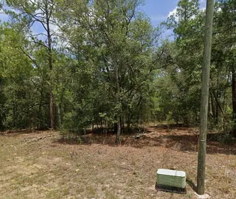 CITRUS SPRINGS FL Property