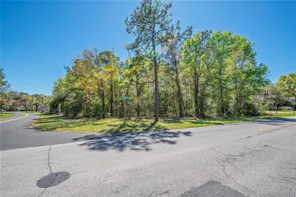 HOMOSASSA FL Property